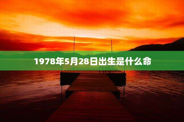 1978年5月28日出生是什么命