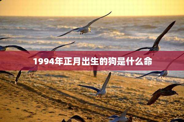 1994年正月出生的狗是什么命