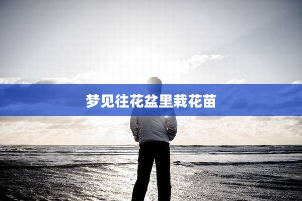 梦见往花盆里栽花苗