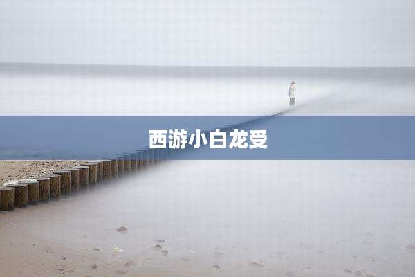 西游小白龙受