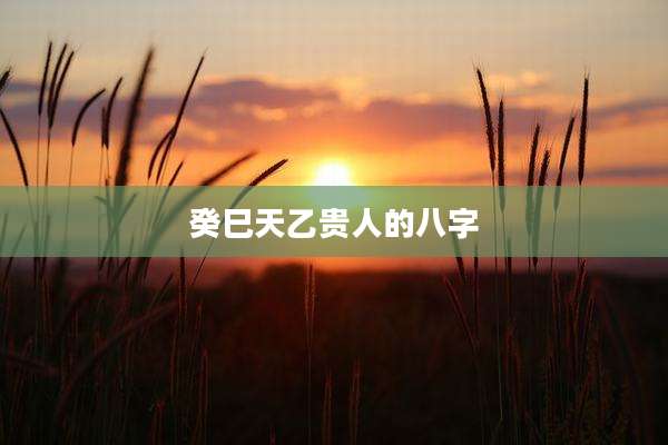 癸巳天乙贵人的八字