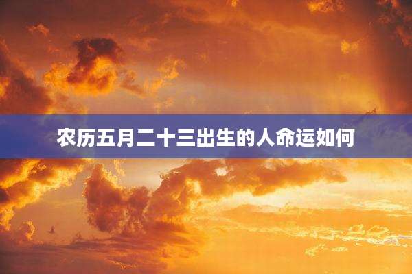 农历五月二十三出生的人命运如何
