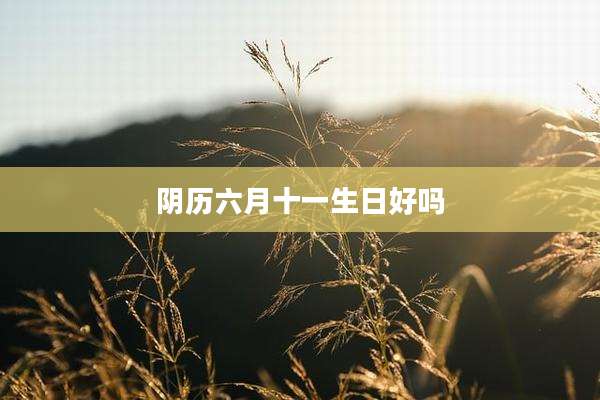 阴历六月十一生日好吗