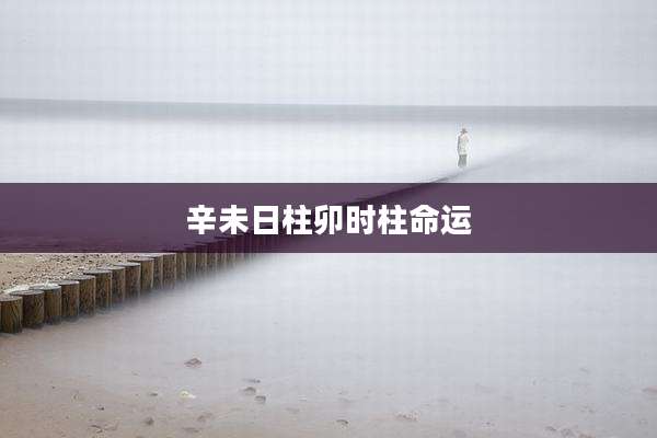 辛未日柱卯时柱命运