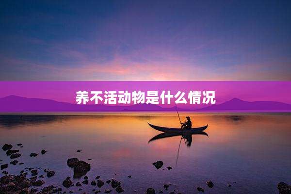 养不活动物是什么情况