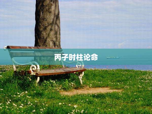 丙子时柱论命