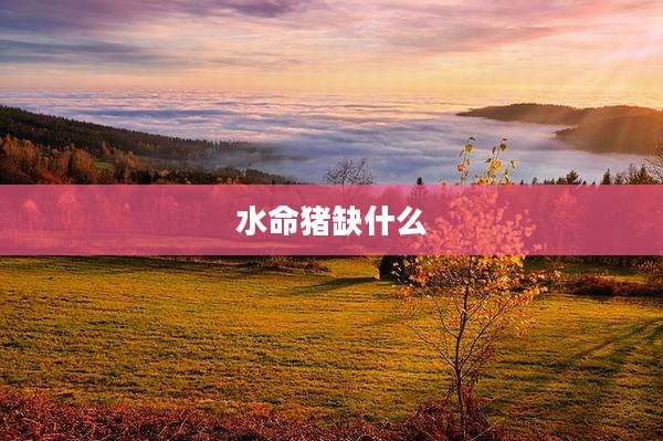 水命猪缺什么