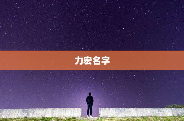 力宏名字