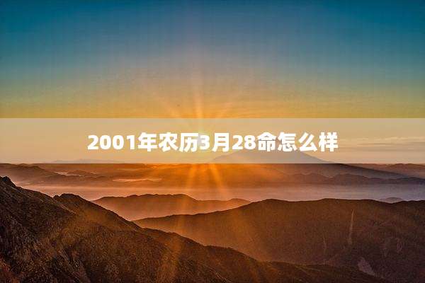 2001年农历3月28命怎么样
