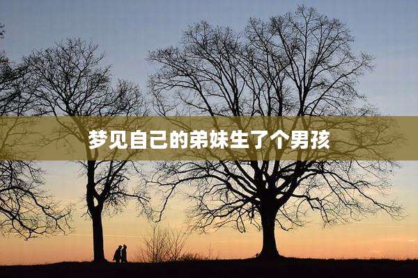 梦见自己的弟妹生了个男孩