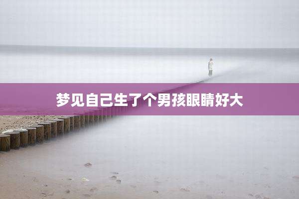 梦见自己生了个男孩眼睛好大