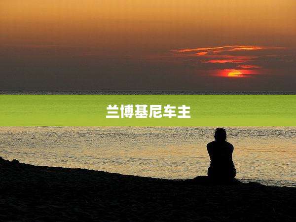 兰博基尼车主