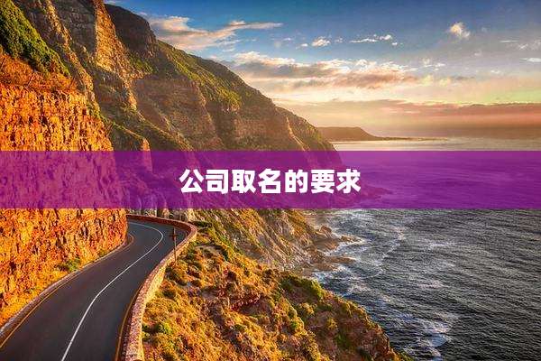 公司取名的要求