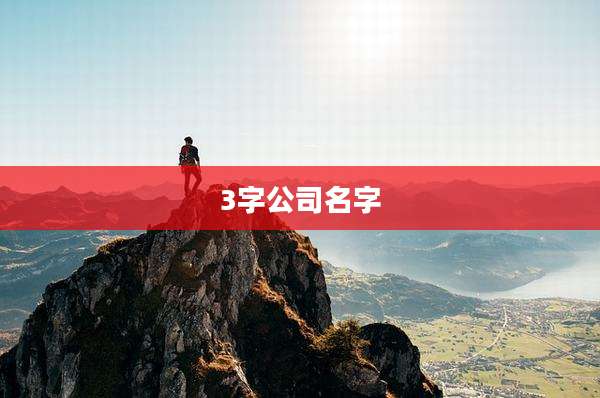 3字公司名字
