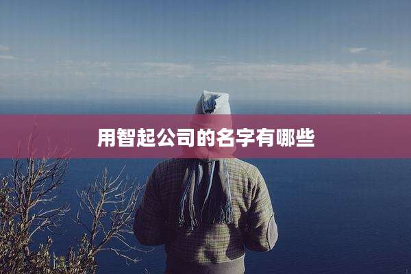 用智起公司的名字有哪些