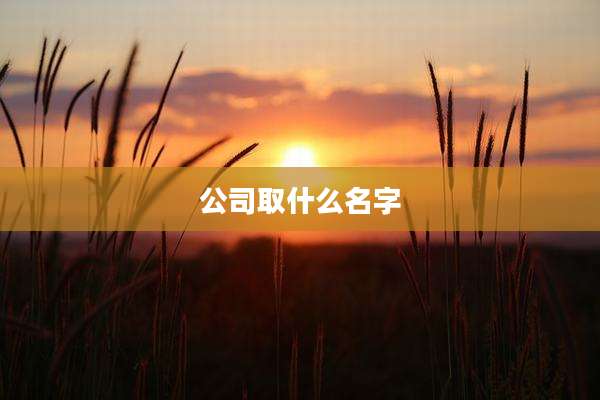 公司取什么名字