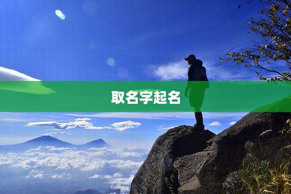 取名字起名