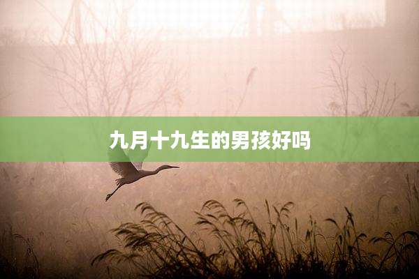 九月十九生的男孩好吗