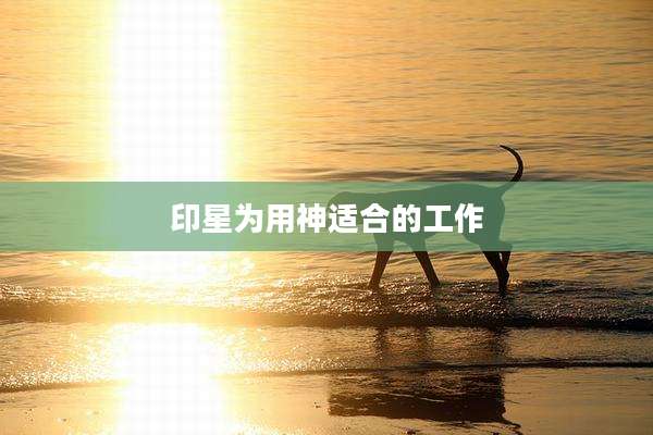 印星为用神适合的工作