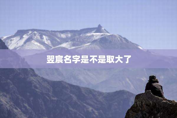 翌宸名字是不是取大了