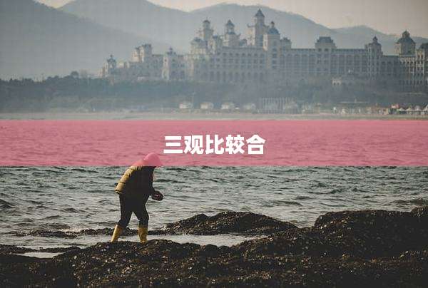 三观比较合
