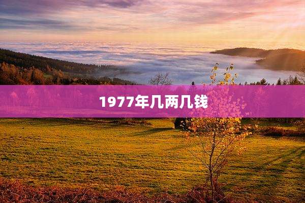 1977年几两几钱