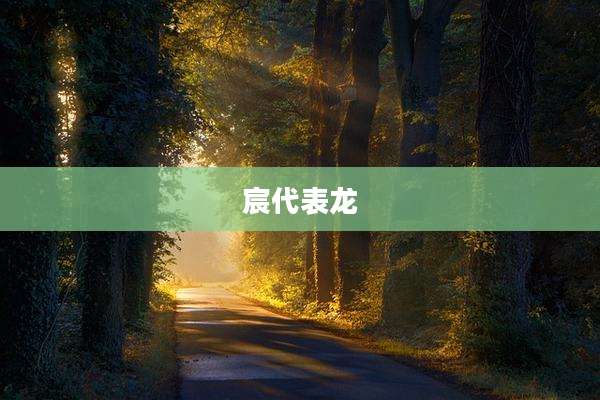 宸代表龙