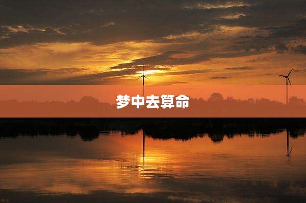 梦中去算命