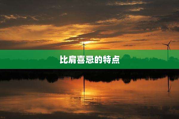比肩喜忌的特点