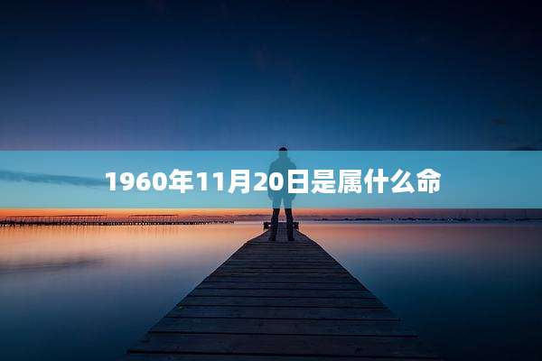 1960年11月20日是属什么命