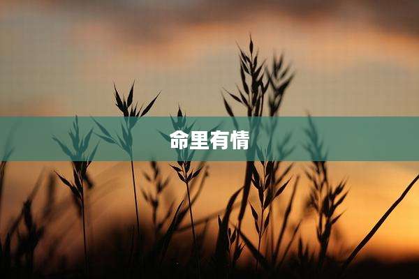 命里有情