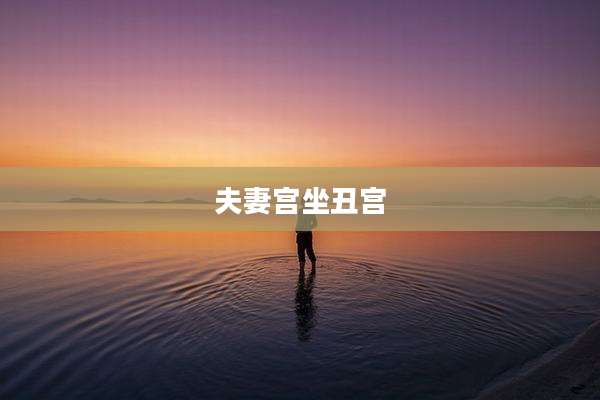 夫妻宫坐丑宫