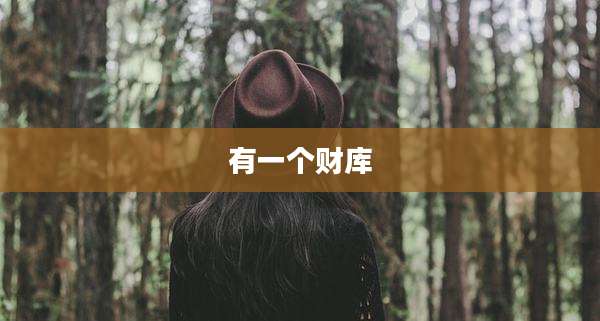 有一个财库