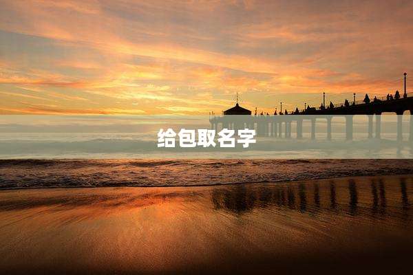 给包取名字