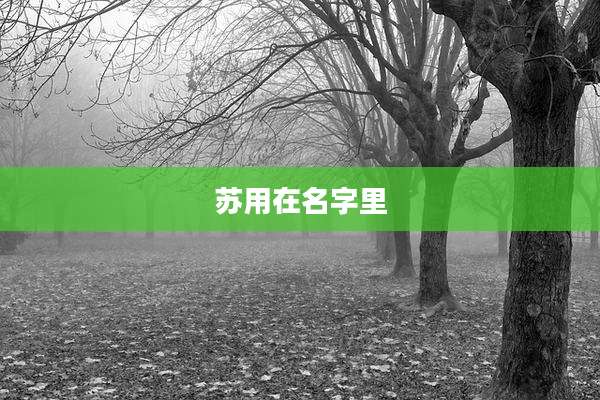 苏用在名字里