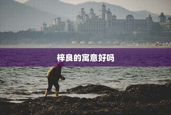 梓良的寓意好吗