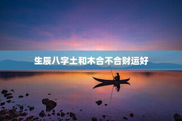 生辰八字土和木合不合财运好