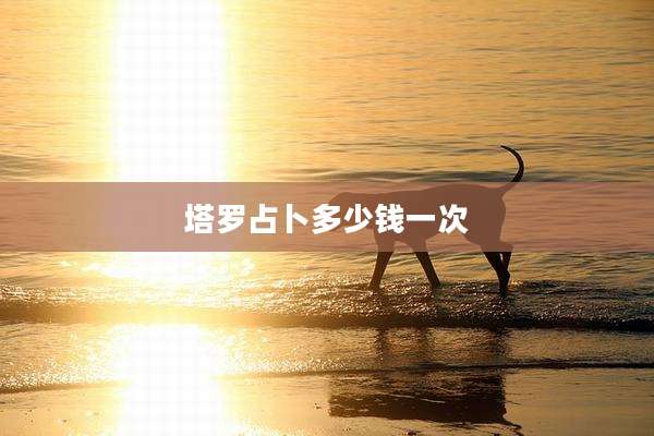 塔罗占卜多少钱一次