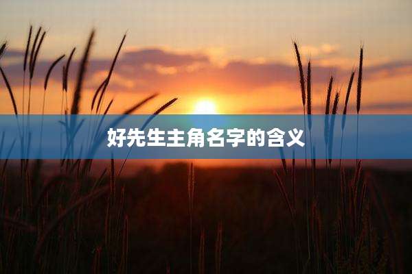 好先生主角名字的含义