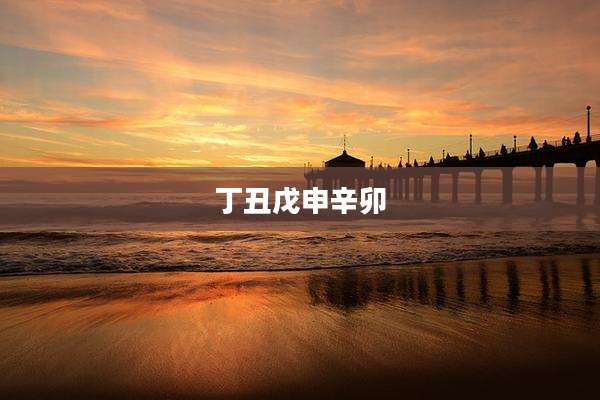 丁丑戊申辛卯