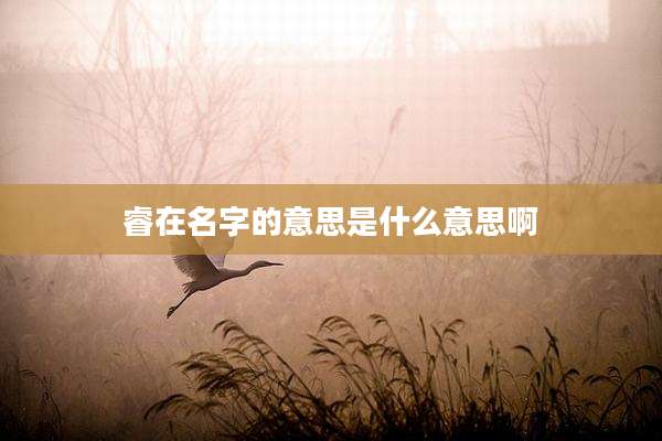睿在名字的意思是什么意思啊