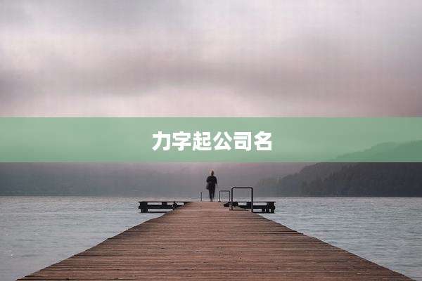 力字起公司名