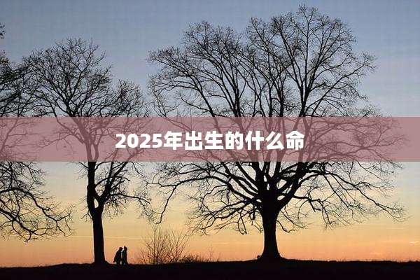 2025年出生的什么命