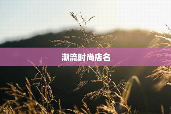 潮流时尚店名