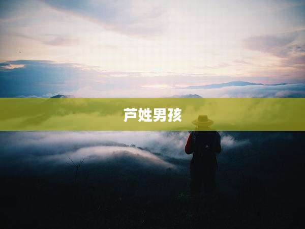 芦姓男孩