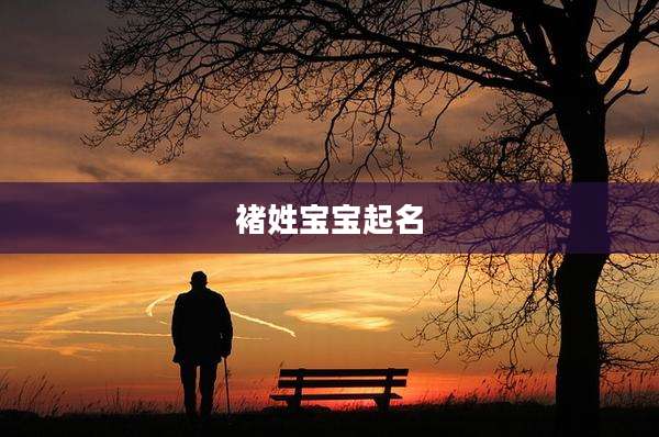 褚姓宝宝起名