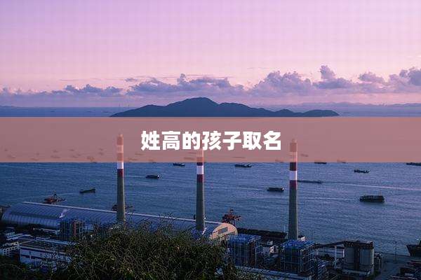 姓高的孩子取名