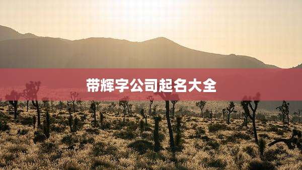 带辉字公司起名大全