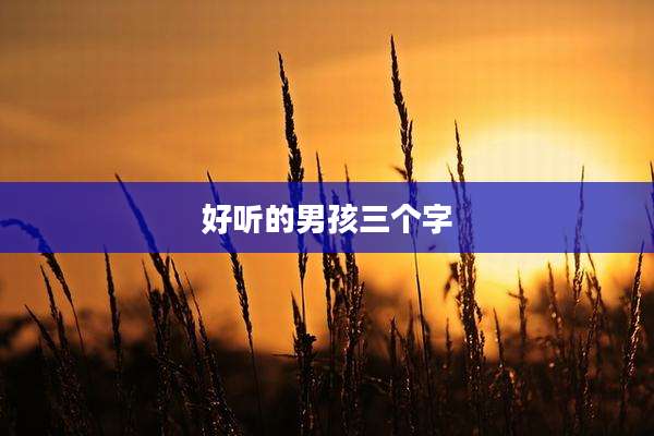 好听的男孩三个字
