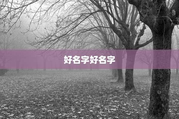 好名字好名字